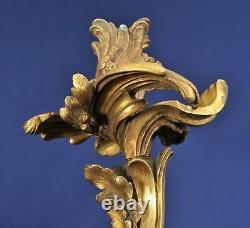 Important Louis XV. Ormolu Wall Sconce, Gilded Bronze, 18th century