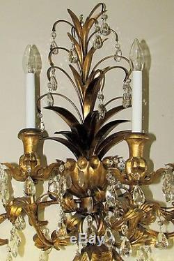 Large 56 Florentine Gilt Gold and Crystal Electric Wall Sconce