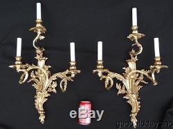 Large Pair of Rococo Gold Gilt Sconces 25 x 15 Wall Sconce x 2