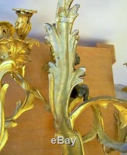 Pair French Bronze Ormolu 5 Lights With Cherub Wall Sconces