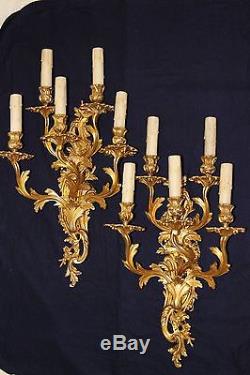 Pair of large gilded bronze French Rococo style wall sconces