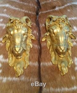 Pair of wall sconces Gilt Bronze, electrified Large Rams heads. Style Louis XV