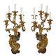 Rare Pair of 19th Century Continental Rococo Style Five Branch Wall Light Sconce