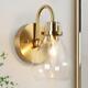 Uolfin Gold Wall Sconce, Iros 1-Light Brass Vanity Light with Clear Glass Shade