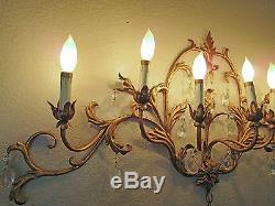 Vtg, Antique Huge 44 French Rococo Style Brass Wall Sconce Chandelier 7 Arm, Gold