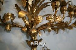 Vintage 45 Hollywood Regency Italy Gold / Gilt Tole Metal 7 Light Wall Sconce